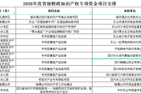 喜报！我公司入选2026年度省级知识产权专项资金项目